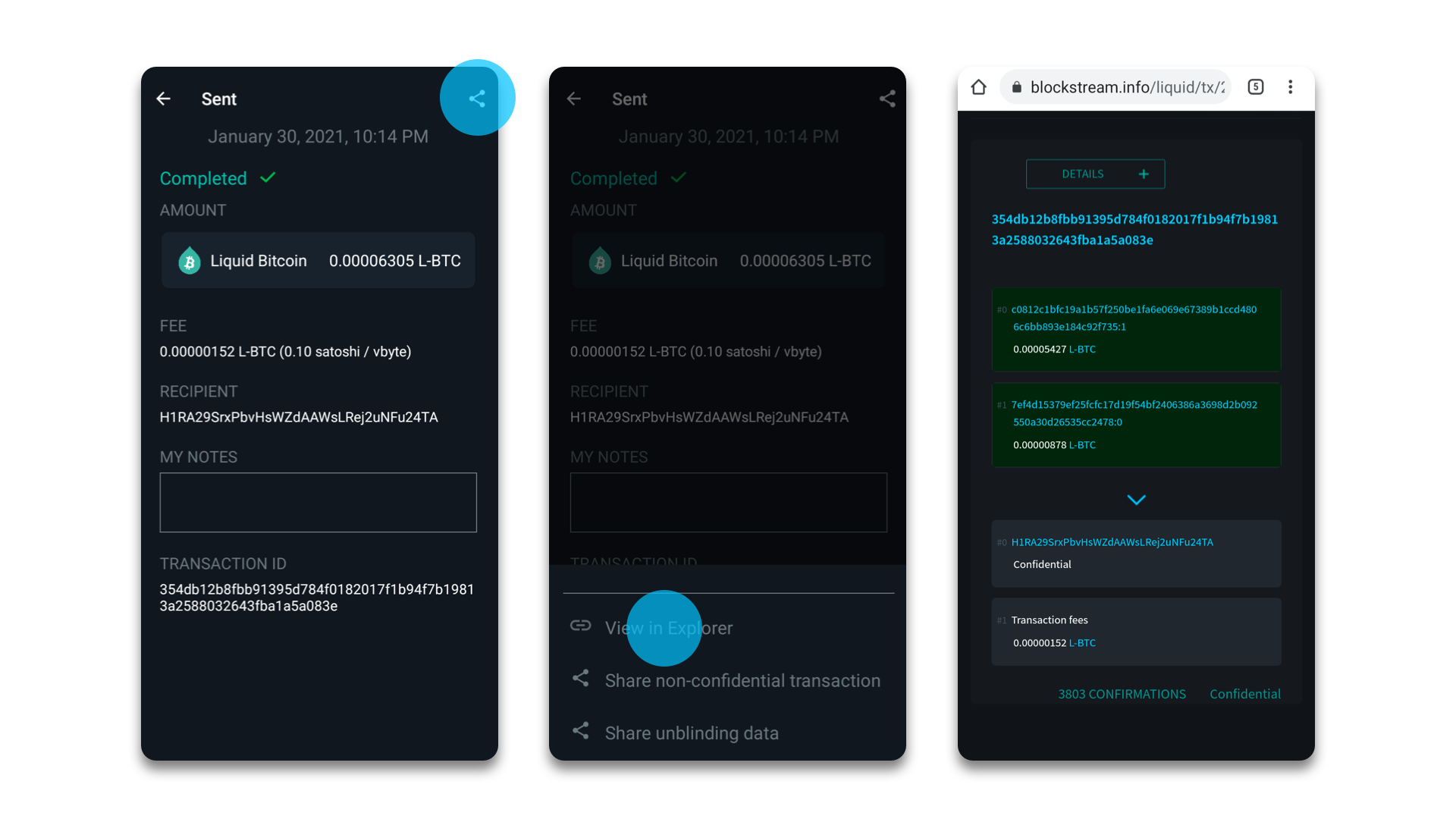 Blockstream Explorer