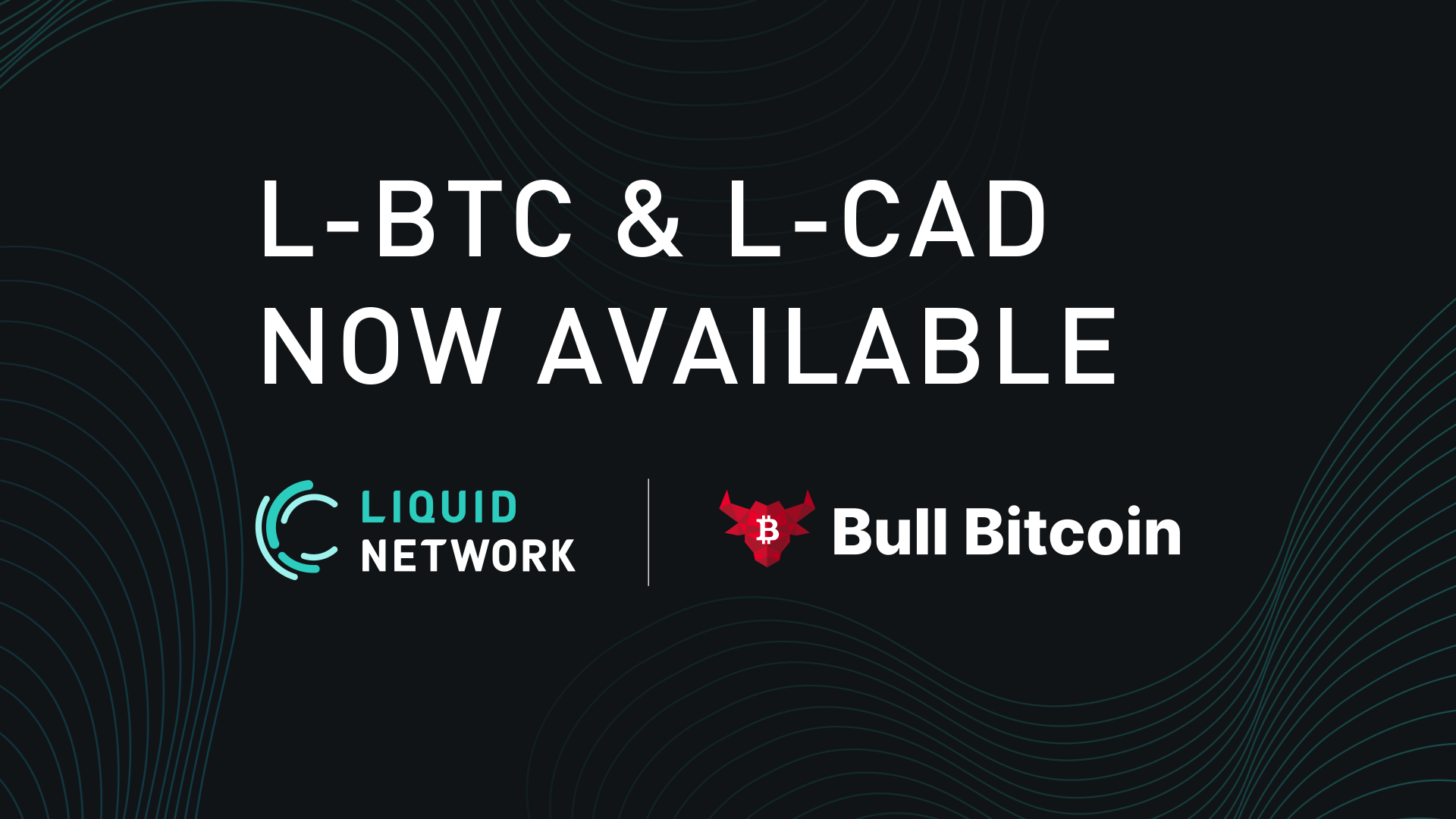 Bull Bitcoin lancia L-CAD su Liquid Network