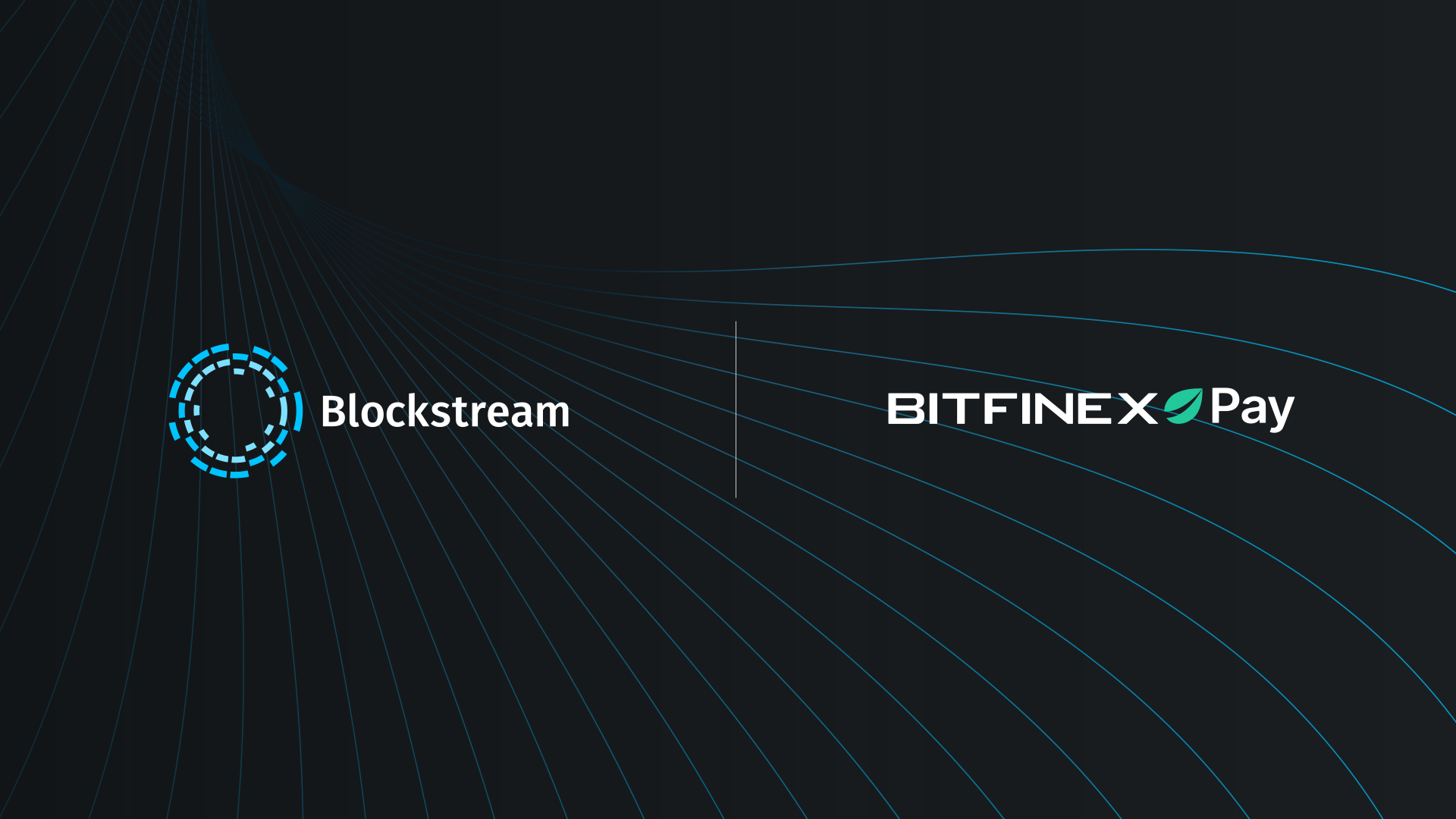 Liquid Asset Support Comes to Merchant Payments Software Bitfinex Pay